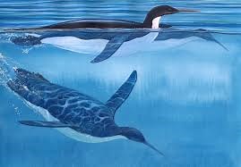 Fun Marine Life Quiz – FREE Online General Knowledge Quiz for Kids -