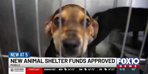 Mobile moves ahead with scaled-back plans for animal shelter, despite concerns