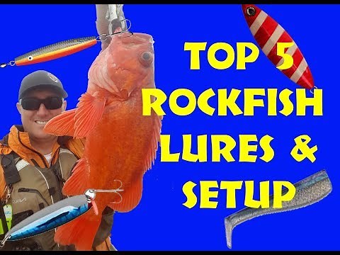 Rockcod - Setup and Lures