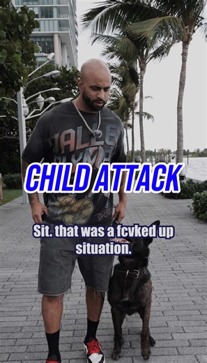 That situation could’ve ended way worse. Some of y’all are one distraction away from the same thing happening. If your dog locks in on small kids or animals, and you don’t have control or proper socialization, that prey drive can take over in seconds. You can’t run from this. It’s only a matter of time. If you want to fix it before something happens, click the link on my BIO and I’ll get you on the phone with an evaluation specialist. Behavior Modification, Dog Training and Mentorship, Host of C