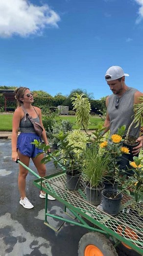 Summer Gardening Tips for a Fun and Vibrant Garden