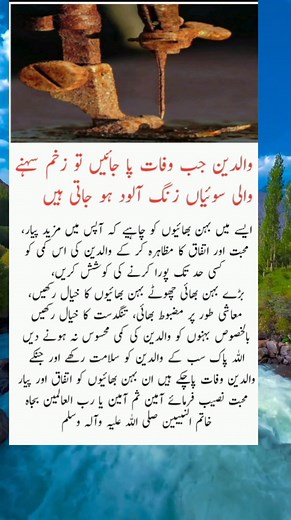 592K views · 5.6K reactions | #facebookreels #reels | The Flourish | Facebook