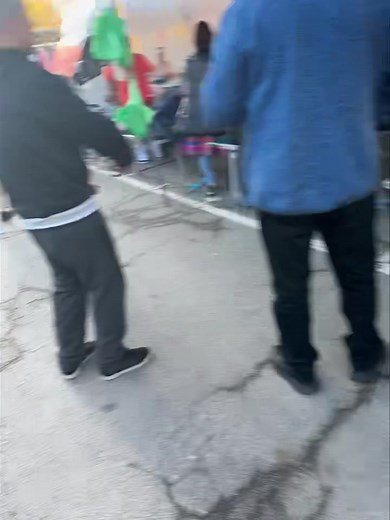 Live the clothes here x | Kelo the African Grey