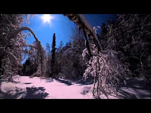 Tapio Rautavaara - kulkurin iltatähti