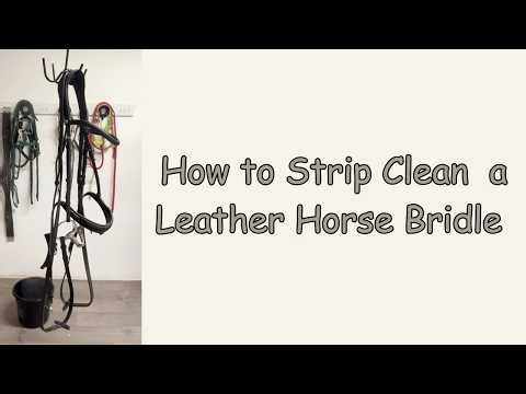 how to strip clean a bridle
