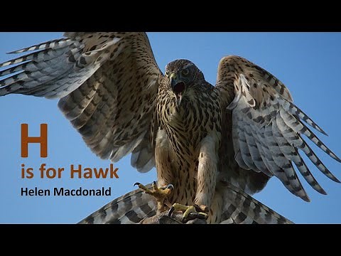 'H is for Hawk' by Helen Macdonald IGCSE anthology
