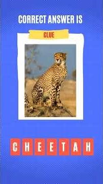 Guess the Missing Word Quiz Challenge Animals Spelling