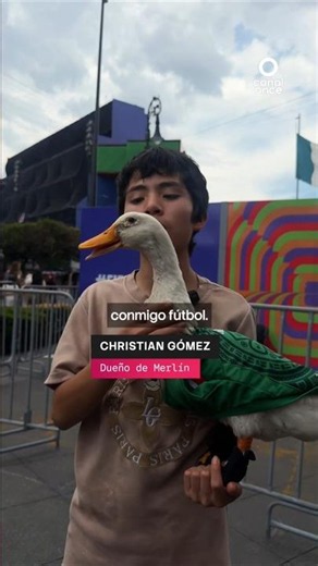 The soccer-playing duck