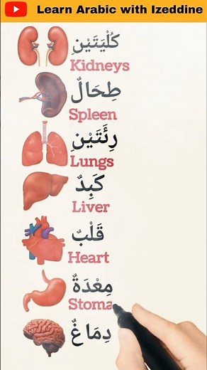 ALL the Arabic Basics You Need - Improve your Arabic