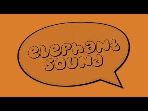 Elephant Trumpet Sound 🐘 | Loud & Realistic Elephant Call