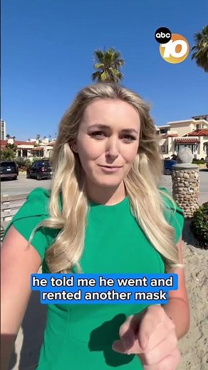 La Jolla sea lion encounter