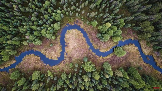 How to Take Control of Editing Color for Stronger Photos