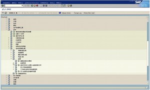 SAP从入门到精通--PS模块项目管理 如何定义项目分配结构