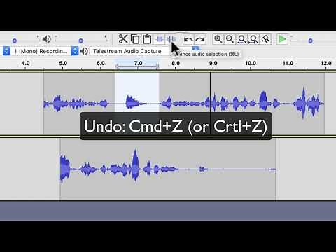 Audacity Basic Training 1: Getting Started [3.1+]