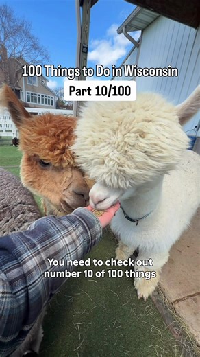 Eagle Eye Farm: Interactive Animal Experiences in WI