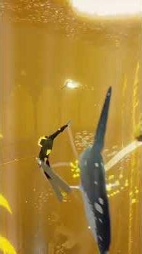 Abzu#S26 - Môle et coquillage.