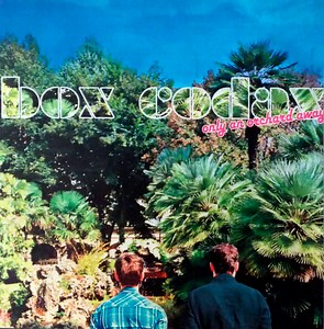 Box Codax - Only An Orchard Away
