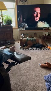 Cujo playing with toys | Linda Wilson