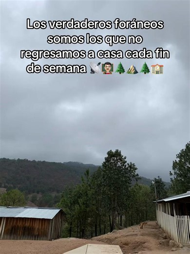 Maestro Foráneo: La Vida de No Regresar a Casa los Fines de Semana