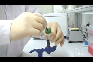 Packing A FPLC Column