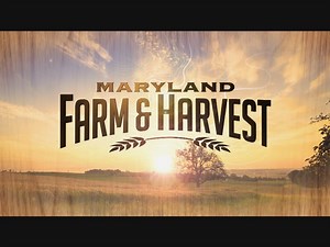MPT’s Maryland Farm & Harvest begins its 10th season