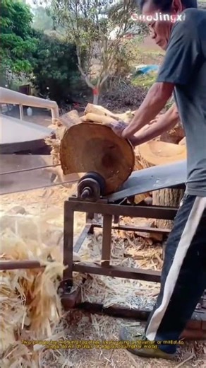 Ancient Wood Oil Hack: From Tree to Treasure!"