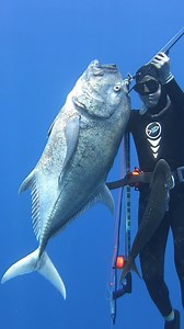 Freedive Spearfishing Giant Fish! #fishing #spearfishing | Ryan Myers Spearfishing