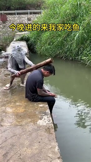 Dog’s Confusing Behavior Fantastic Beasts on TikTok