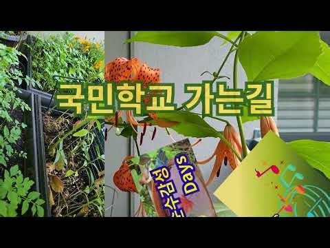 노래:국민학교 가는길의 추억