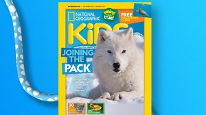 Magazine sneak peek December 2022