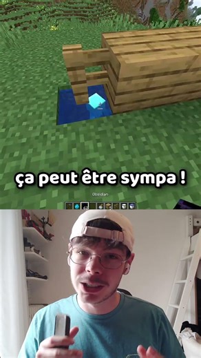 C'est trop utile les Allays dans Minecraft ! (non)