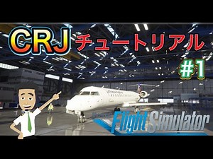 【MSFS/Aerosoft CRJ】日本語チュートリアル【～エンジンスタート】＃1