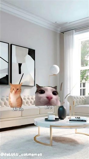 Murder mystery but it's cat memes #catmemes #mm2 #helpmemakethismakesense #plsgoviral