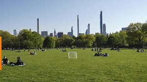 New York rolling out training for virus detectives