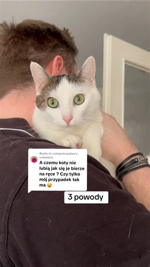 Czy twój kot pozwala Ci się brać na ręce?
