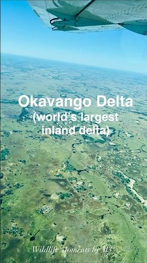 The Magic of the Okavango Delta | Botswana Wildlife