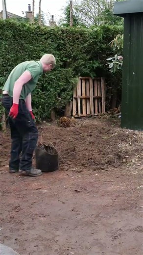 Garden Transformation Time Lapse