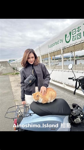 #คิดถึงเหมียว #anoshimaisland #japan