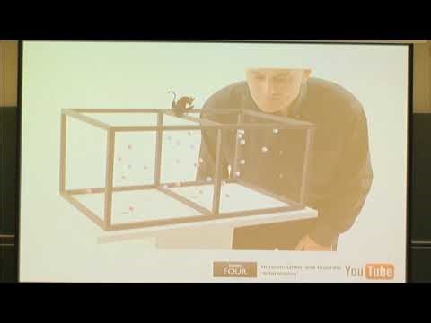 Dr. Janet Anders | Thermodynamics of discrete quantum processes