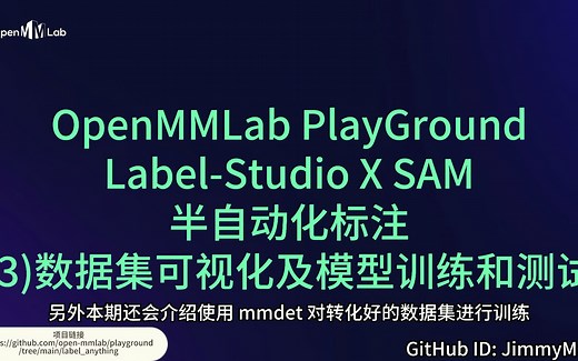 Label-Studio X Segment Anything Model 半自动化标注（4）：数据集可视化及模型训练和测试