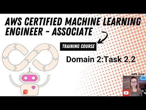 AWS Certified Machine Learning Enigeer - Associate - Doamin 2: Task 2 2