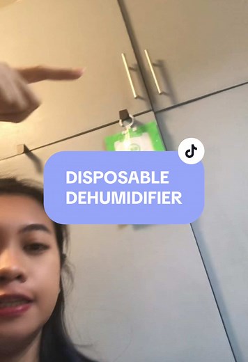 Dehumidifiers: Essential Tools for Mold Prevention