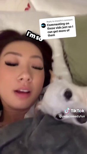 Funny Talking Dogs Compilation