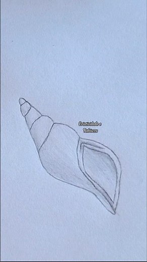 Passo a Passo no Canal↗️🐚 #concha #conchas #mar #praia #foryou #drawing
