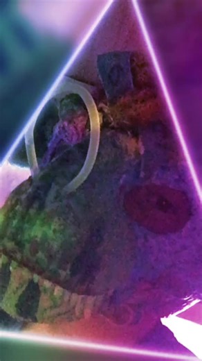 3404 103 (@error_103_offical)’s videos with original sound - 3404 103