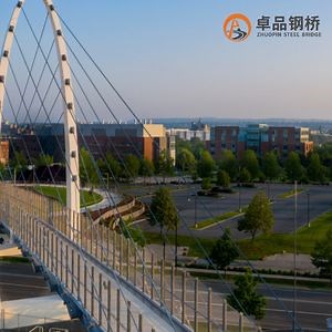 [Hot Item] Sustainable Prefabricated Steel Structure Bridge / Cable Stayed Steel Bridge
