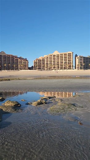 Low Tide! | Howard Steven