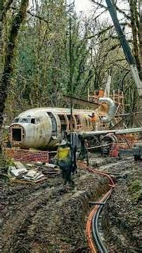 From Abandoned Airplane to the World’s Most Unique Forest Restaurant