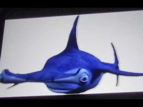Shark tale Hammerhead Shark Sound Effect