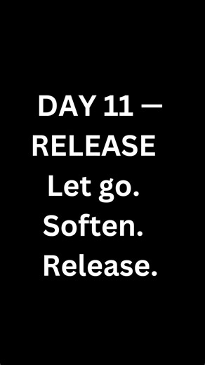 DAY 11 — RELEASE | UNIVOX Daily Reset